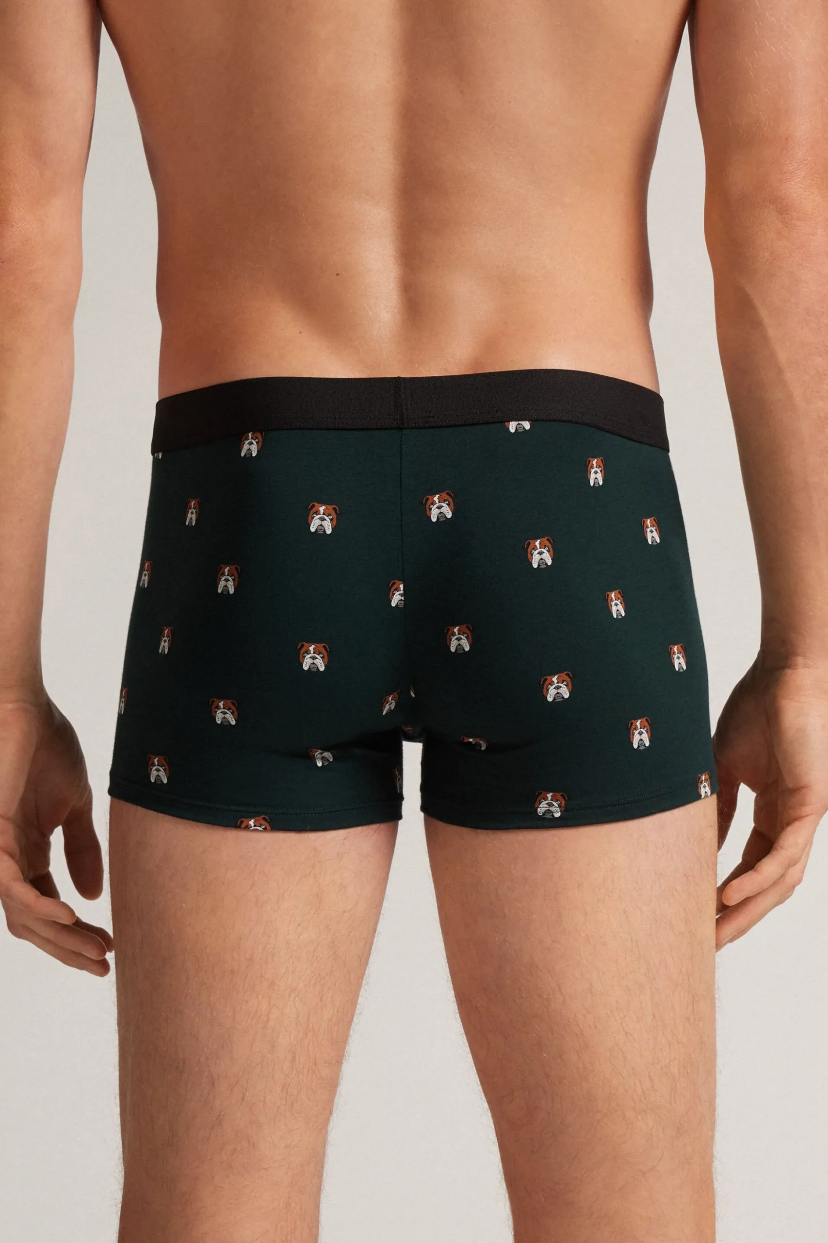 Boxer Bulldog in Cotone Natural Fresh