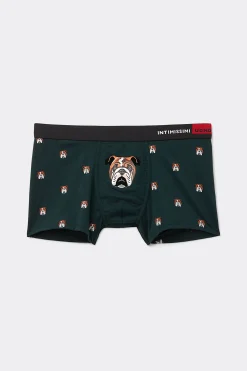 Boxer Bulldog in Cotone Natural Fresh