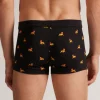 Boxer Leone in Cotone Natural Fresh