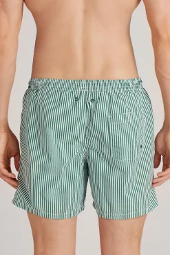 Costume Boxer Mare Stampa Riga Verde