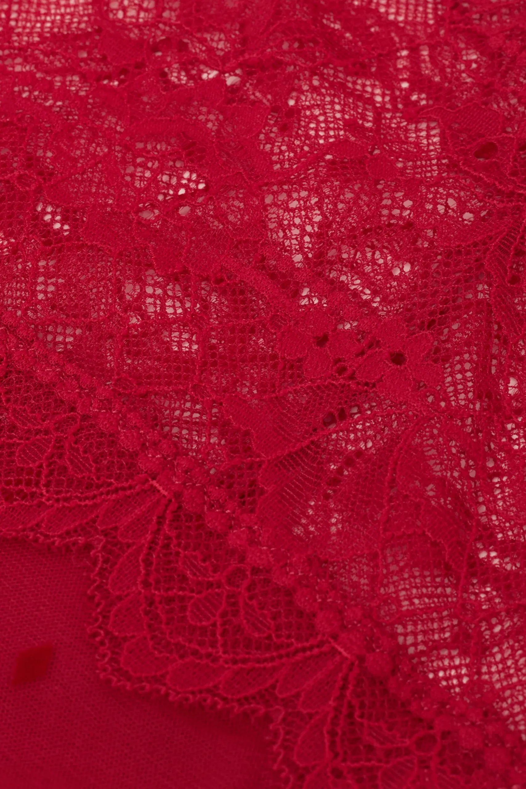 Culotte Brasiliana Vita Alta Winter of Love