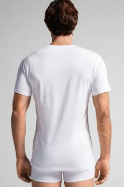 T-Shirt Scollo V in Cotone Superior Extrafine